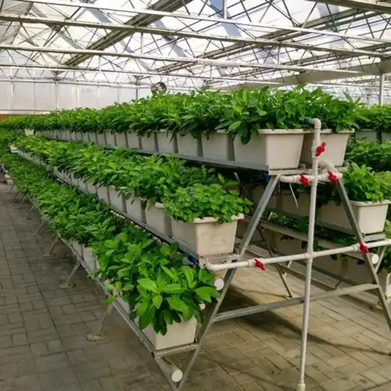 六盘水市植物工厂植物工厂 - 排名