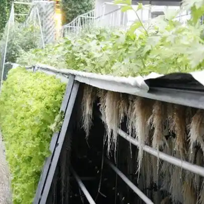 六盘水市气雾培植物工厂 - 价格