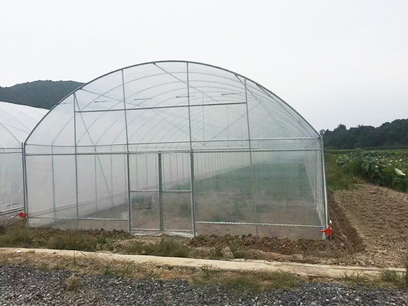 六盘水市薄膜大棚植物工厂 - 价格